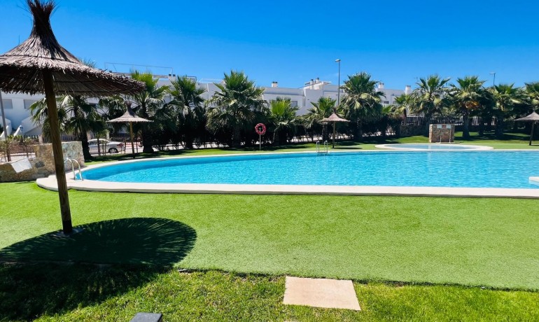 Sale - Apartment / Flat -
Los Montesinos - Entre Naranjos / Vistabella Golf