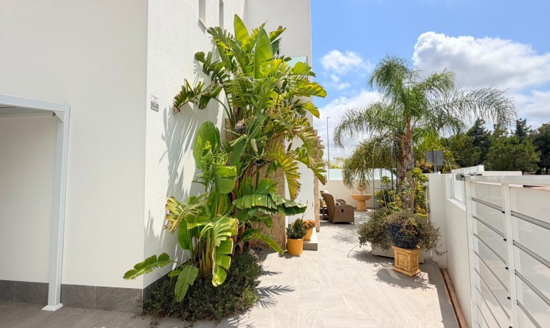 Sale - Villa -
Los Montesinos - La Herrada