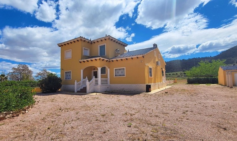 Sale - Finca / Country Property -
La Romana - La Romana - Country