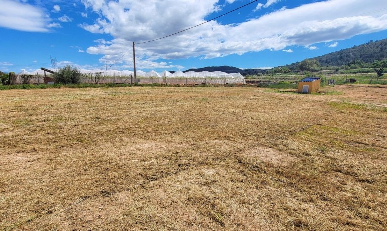 Sale - Finca / Country Property -
La Romana - La Romana - Country