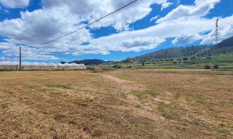 Sale - Finca / Country Property -
La Romana - La Romana - Country