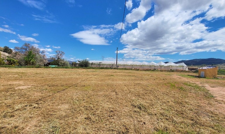 Sale - Finca / Country Property -
La Romana - La Romana - Country