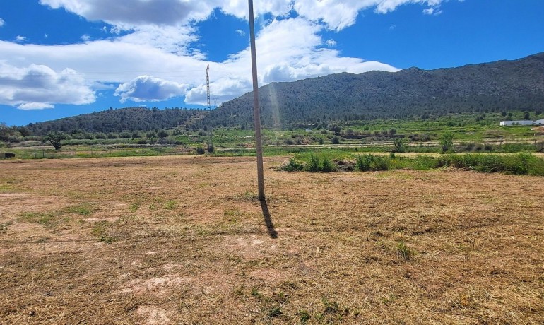 Sale - Finca / Country Property -
La Romana - La Romana - Country