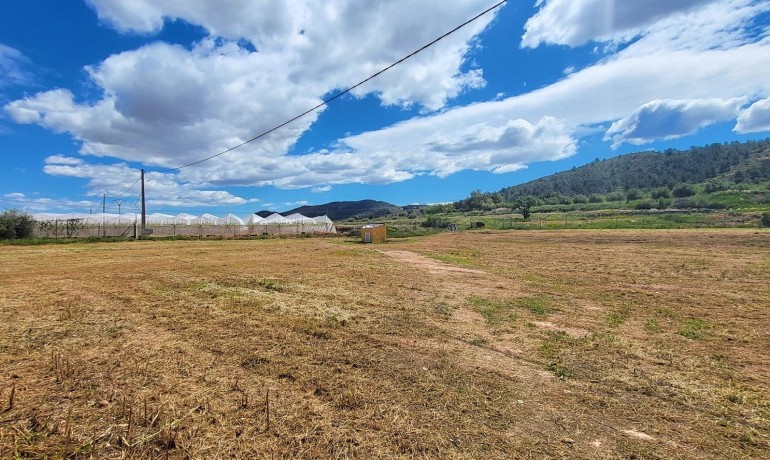 Sale - Finca / Country Property -
La Romana - La Romana - Country