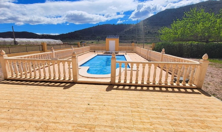 Sale - Finca / Country Property -
La Romana - La Romana - Country
