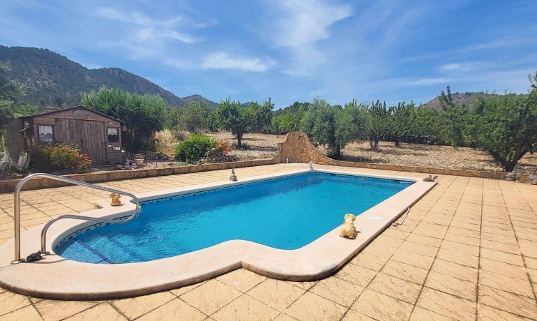Sale - Finca / Country Property -
Hondon - Hondon de Las Nieves