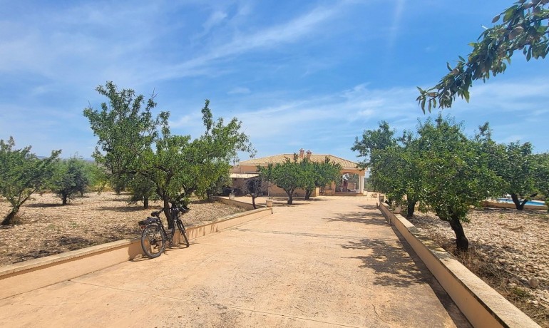 Sale - Finca / Country Property -
Hondon - Hondon de Las Nieves