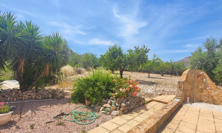 Sale - Finca / Country Property -
Hondon - Hondon de Las Nieves
