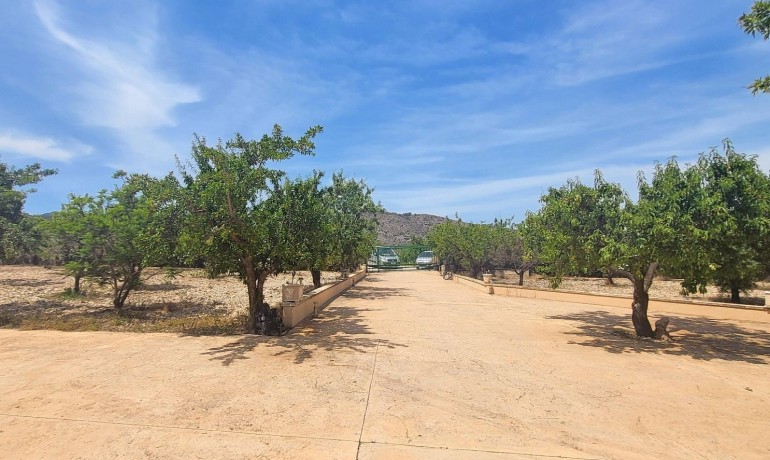 Sale - Finca / Country Property -
Hondon - Hondon de Las Nieves