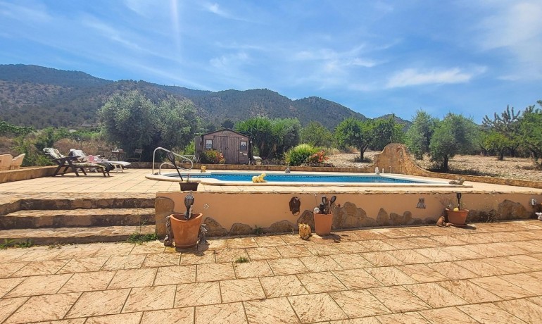 Sale - Finca / Country Property -
Hondon - Hondon de Las Nieves