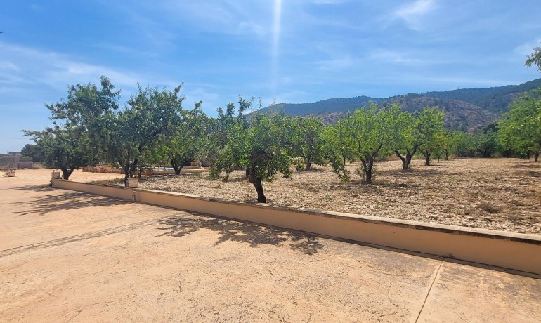 Sale - Finca / Country Property -
Hondon - Hondon de Las Nieves