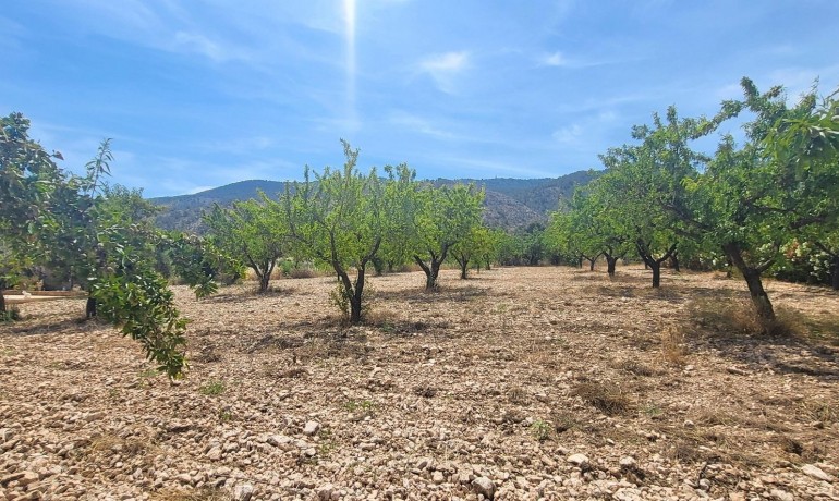 Sale - Finca / Country Property -
Hondon - Hondon de Las Nieves