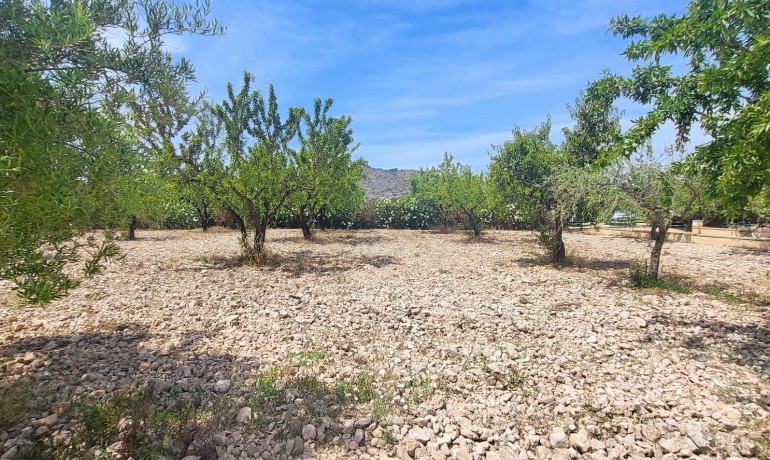Sale - Finca / Country Property -
Hondon - Hondon de Las Nieves