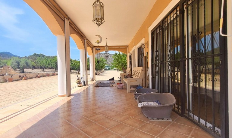 Sale - Finca / Country Property -
Hondon - Hondon de Las Nieves
