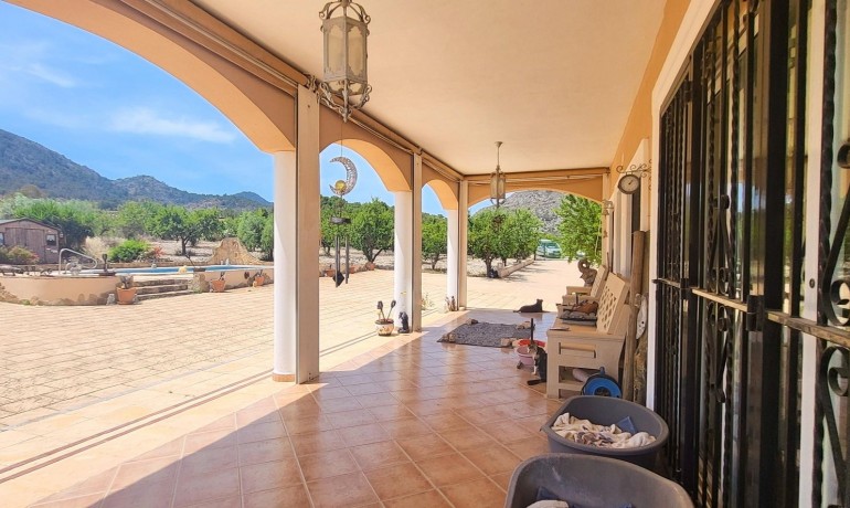 Sale - Finca / Country Property -
Hondon - Hondon de Las Nieves