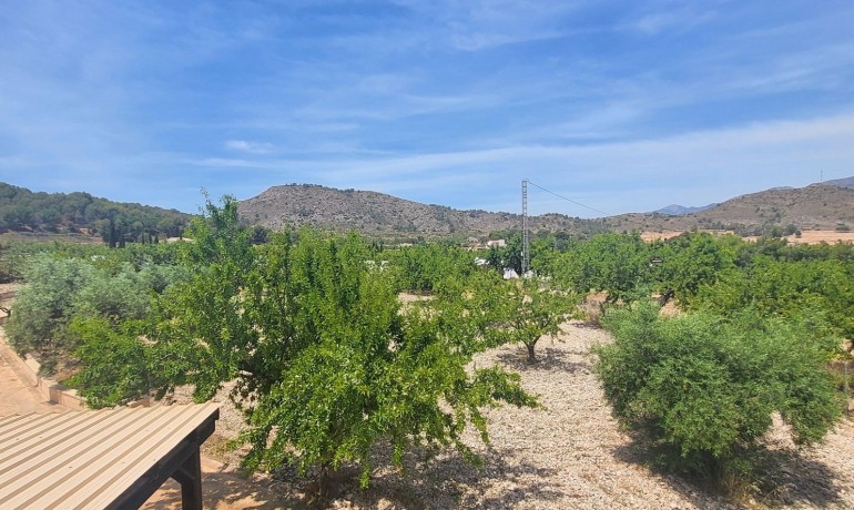 Sale - Finca / Country Property -
Hondon - Hondon de Las Nieves