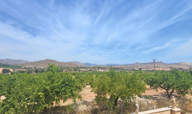 Sale - Finca / Country Property -
Hondon - Hondon de Las Nieves