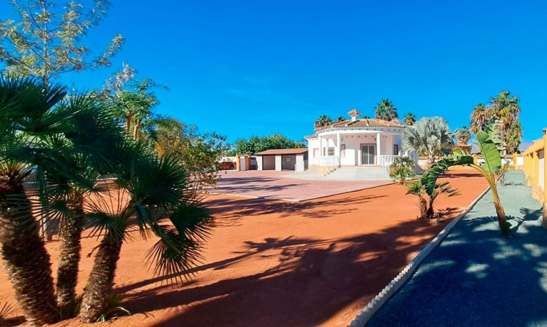 Sale - Finca / Country Property -
Catral - Catral - Country