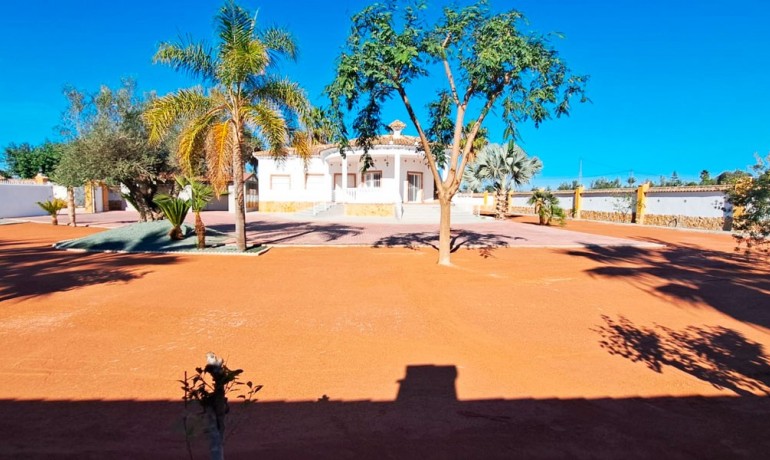 Sale - Finca / Country Property -
Catral - Catral - Country