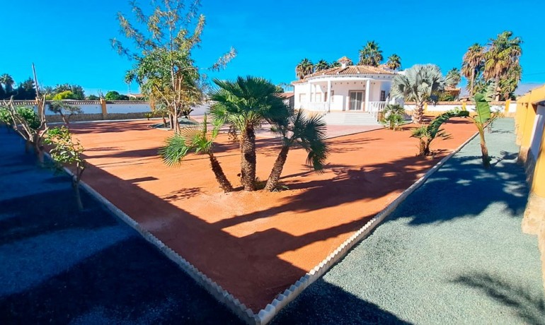 Sale - Finca / Country Property -
Catral - Catral - Country