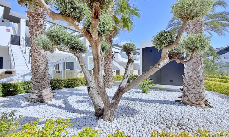 Sale - Apartment / Flat -
Orihuela Costa - Punta Prima
