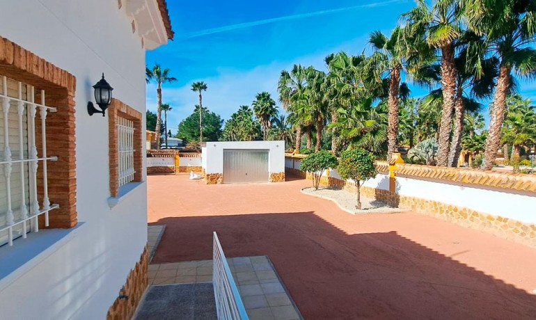 Sale - Finca / Country Property -
Catral - Catral - Country