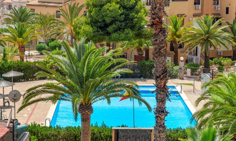 Sale - Apartment / Flat -
Torrevieja* - Torrevieja - Aguas Nuevas