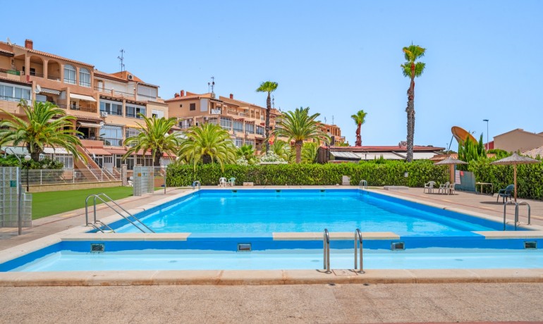 Sale - Apartment / Flat -
Torrevieja* - Torrevieja - Aguas Nuevas