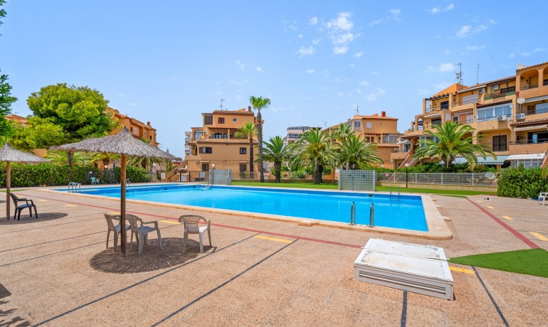 Sale - Apartment / Flat -
Torrevieja* - Torrevieja - Aguas Nuevas