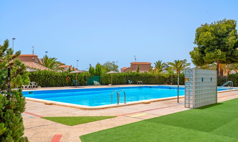 Sale - Apartment / Flat -
Torrevieja - Torrevieja - Aguas Nuevas