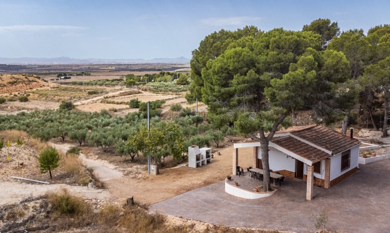 Venta - Apartamento / piso -
LA TERCIA - La Tercia