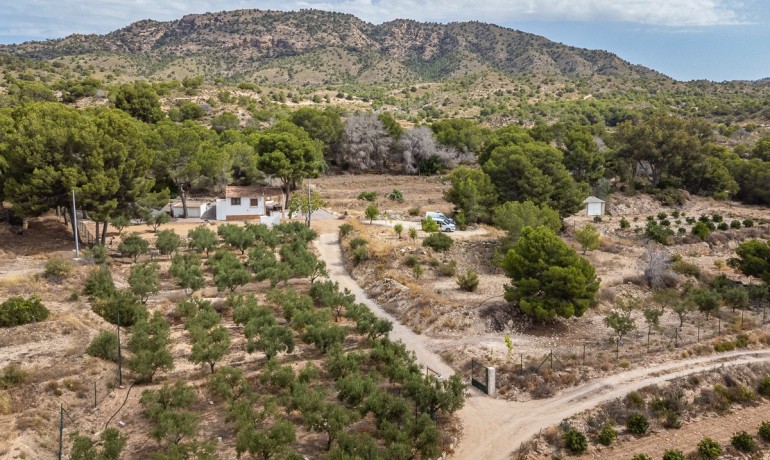 Venta - Apartamento / piso -
LA TERCIA - La Tercia