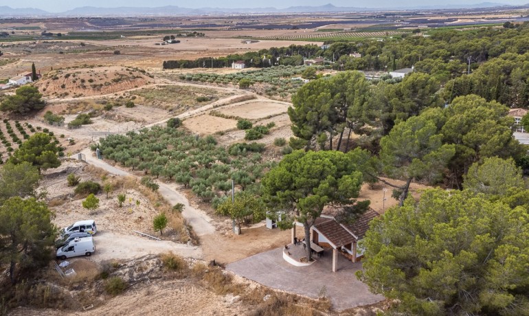 Venta - Apartamento / piso -
LA TERCIA - La Tercia