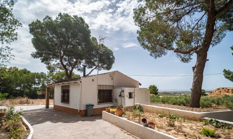 Venta - Apartamento / piso -
LA TERCIA - La Tercia