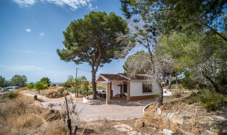 Venta - Apartamento / piso -
LA TERCIA - La Tercia