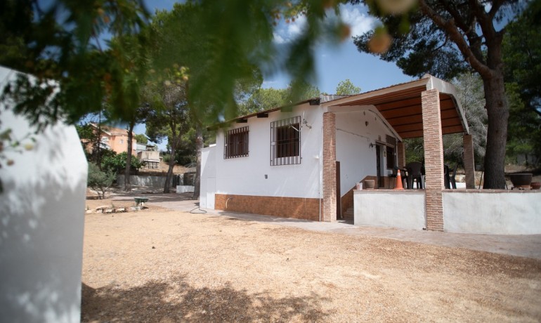 Venta - Apartamento / piso -
LA TERCIA - La Tercia