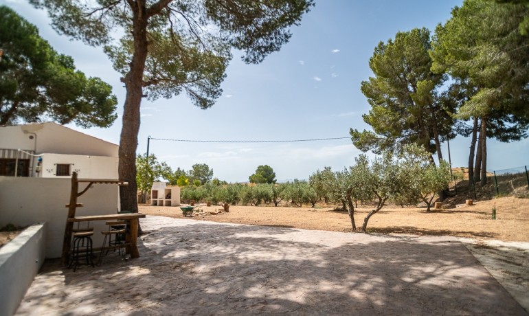 Venta - Apartamento / piso -
LA TERCIA - La Tercia
