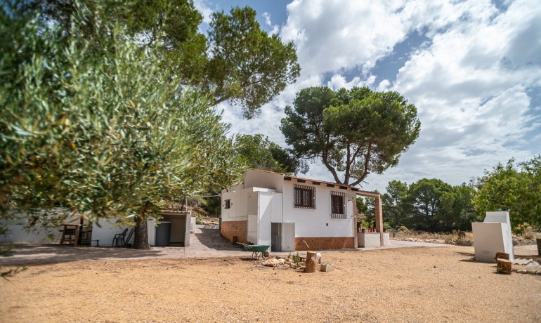 Venta - Apartamento / piso -
LA TERCIA - La Tercia