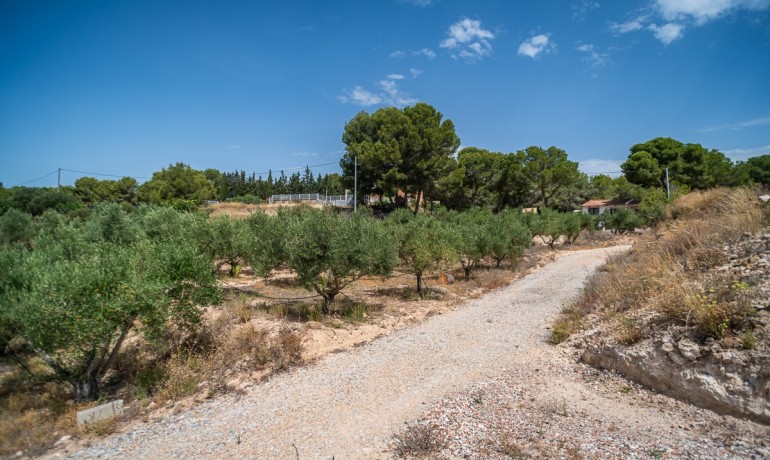 Venta - Apartamento / piso -
LA TERCIA - La Tercia