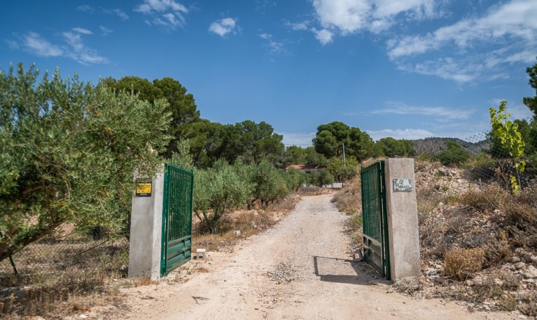 Venta - Apartamento / piso -
LA TERCIA - La Tercia