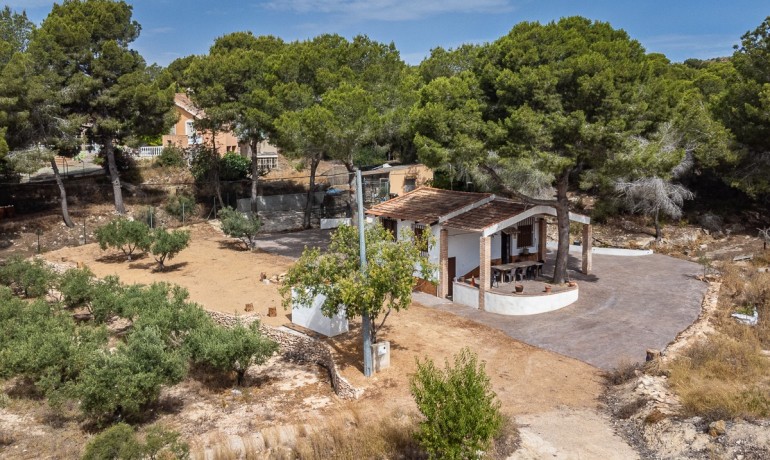 Venta - Apartamento / piso -
LA TERCIA - La Tercia