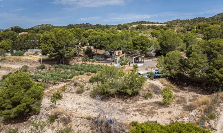 Venta - Apartamento / piso -
LA TERCIA - La Tercia