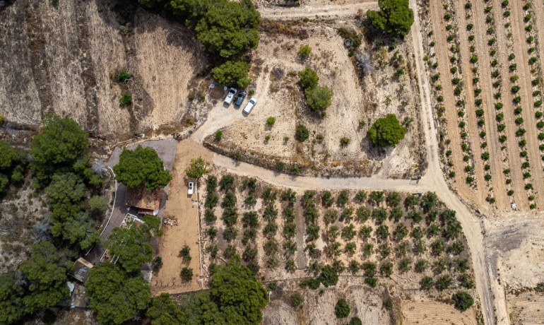 Venta - Apartamento / piso -
LA TERCIA - La Tercia