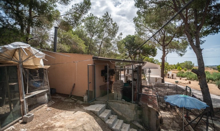 Venta - Apartamento / piso -
LA TERCIA - La Tercia