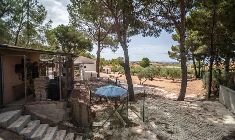 Venta - Apartamento / piso -
LA TERCIA - La Tercia