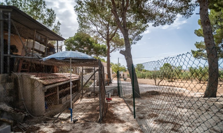Venta - Apartamento / piso -
LA TERCIA - La Tercia