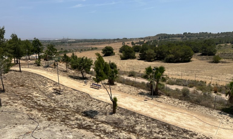 Sale - Villa -
San Miguel de Salinas* - San Miguel Salinas