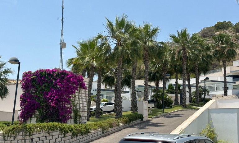 Sale - Villa -
San Miguel de Salinas* - San Miguel Salinas