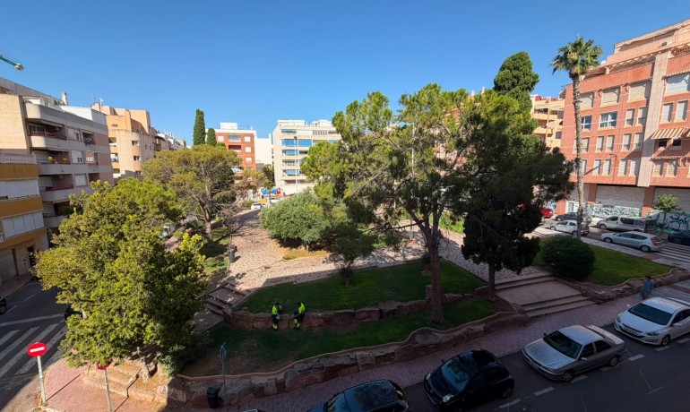 Sale - Apartment / Flat -
Torrevieja Centro - Torrevieja