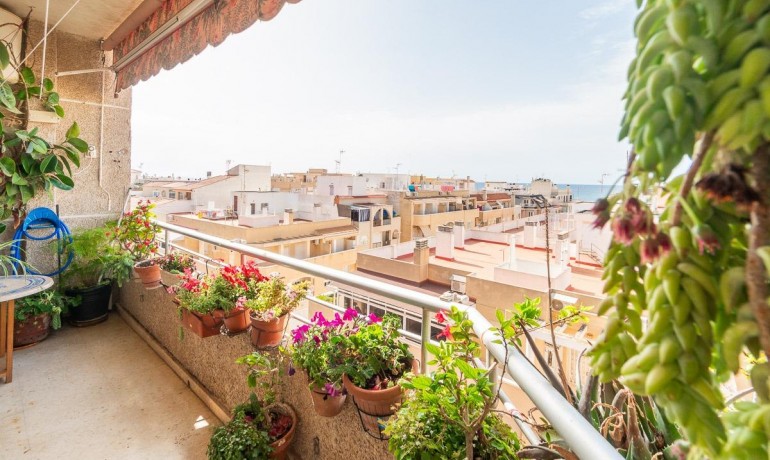 Sale - Apartment / Flat -
Torrevieja* - Curva del Palangre